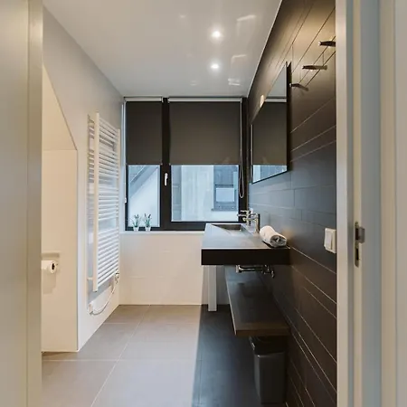 Luxe Op Park Duinzicht Holiday home *